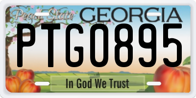 GA license plate PTG0895