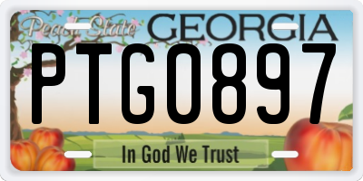 GA license plate PTG0897