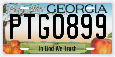 GA license plate PTG0899