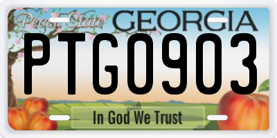 GA license plate PTG0903