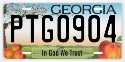 GA license plate PTG0904
