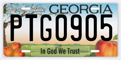 GA license plate PTG0905
