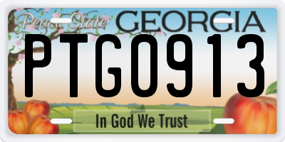 GA license plate PTG0913
