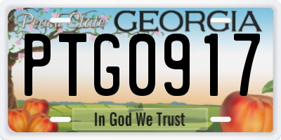 GA license plate PTG0917