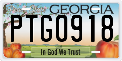 GA license plate PTG0918