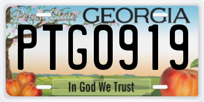 GA license plate PTG0919