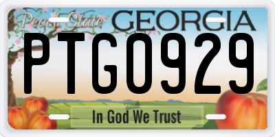 GA license plate PTG0929