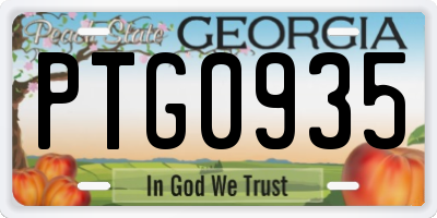 GA license plate PTG0935