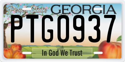 GA license plate PTG0937