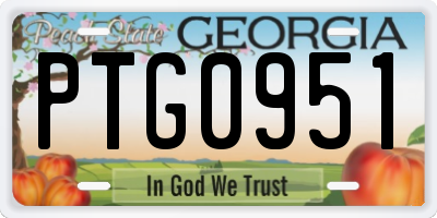 GA license plate PTG0951