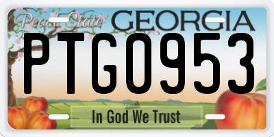 GA license plate PTG0953