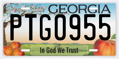 GA license plate PTG0955
