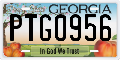 GA license plate PTG0956