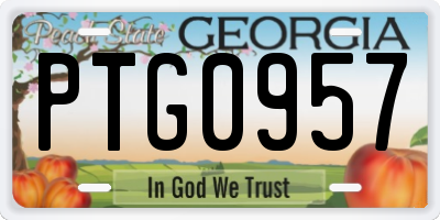 GA license plate PTG0957