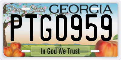 GA license plate PTG0959