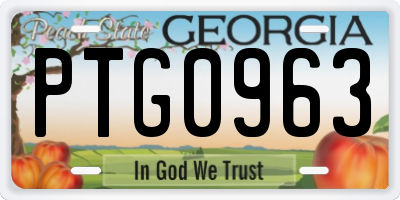 GA license plate PTG0963