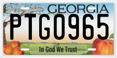 GA license plate PTG0965
