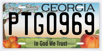 GA license plate PTG0969