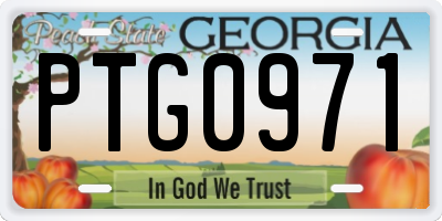 GA license plate PTG0971