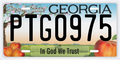 GA license plate PTG0975