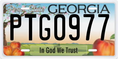 GA license plate PTG0977