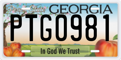 GA license plate PTG0981