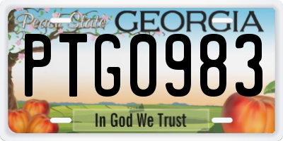 GA license plate PTG0983