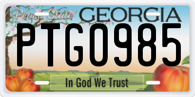 GA license plate PTG0985