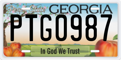 GA license plate PTG0987