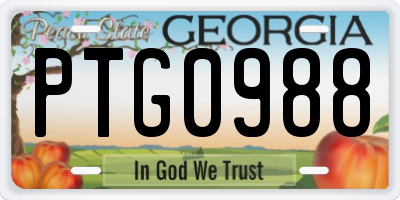 GA license plate PTG0988