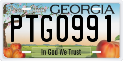 GA license plate PTG0991