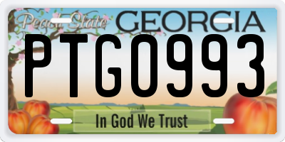 GA license plate PTG0993