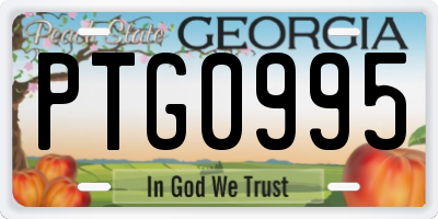 GA license plate PTG0995