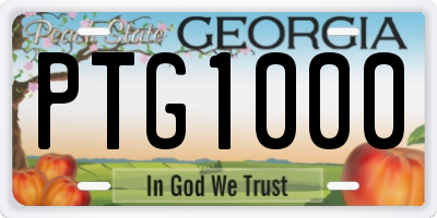 GA license plate PTG1000