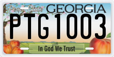 GA license plate PTG1003
