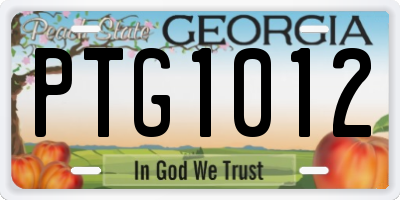 GA license plate PTG1012