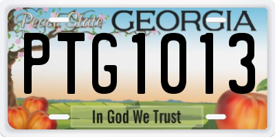 GA license plate PTG1013