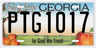 GA license plate PTG1017