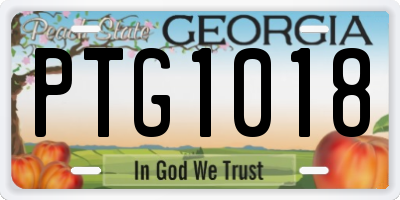 GA license plate PTG1018