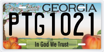 GA license plate PTG1021