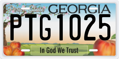 GA license plate PTG1025