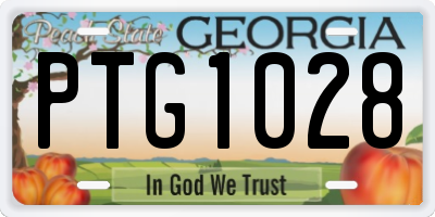 GA license plate PTG1028
