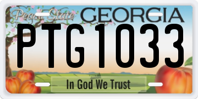 GA license plate PTG1033