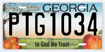 GA license plate PTG1034