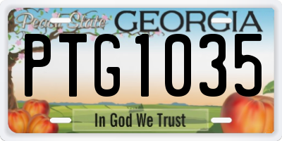 GA license plate PTG1035