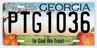 GA license plate PTG1036