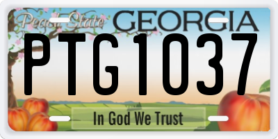 GA license plate PTG1037