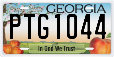 GA license plate PTG1044