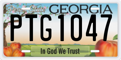 GA license plate PTG1047