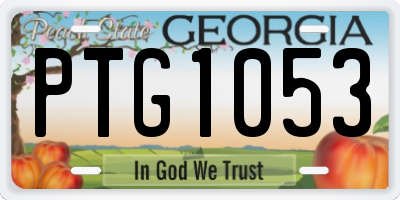 GA license plate PTG1053
